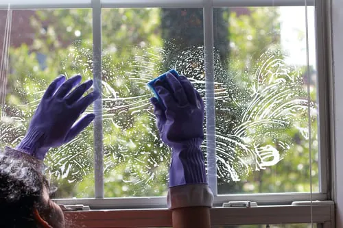 Window Cleaning